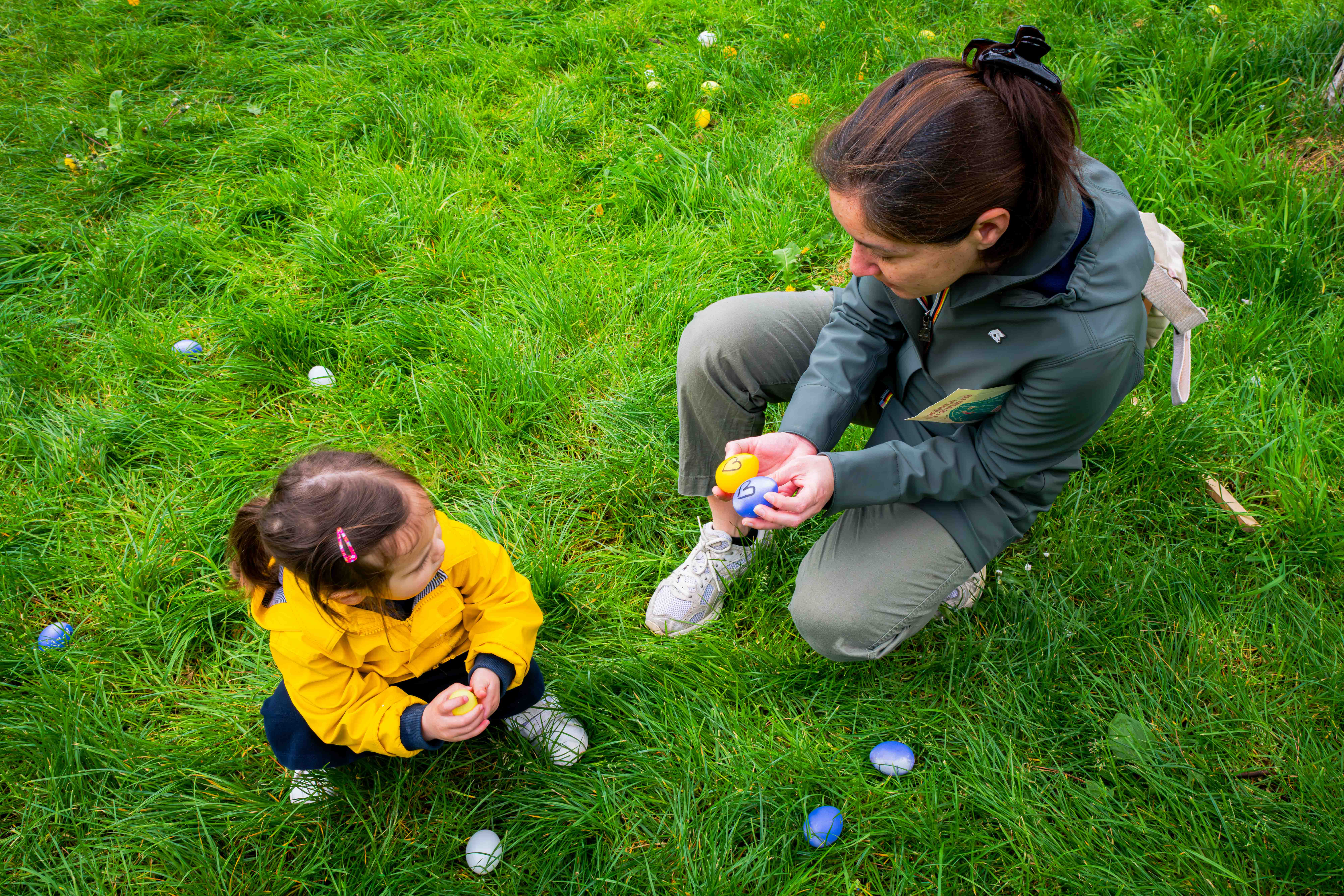 La chasse aux oeufs solidaire