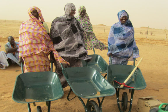 Appui femmes Mauritanie