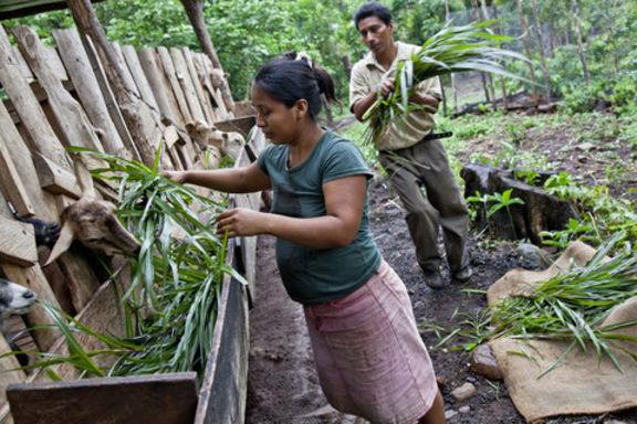 un homme et une femme de Salvador travaillent sur un programme de développement local, du Secours populaire