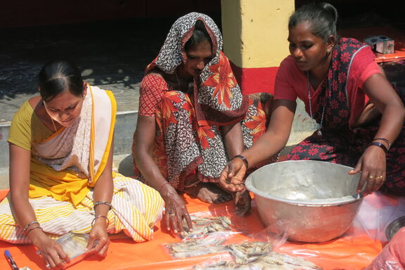 Groupe de femmes de pêcheurs en train de préparer le poisson dans le village de Penthakota, en Inde.