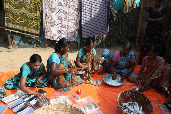 Groupe de femmes en train de transformer le poisson